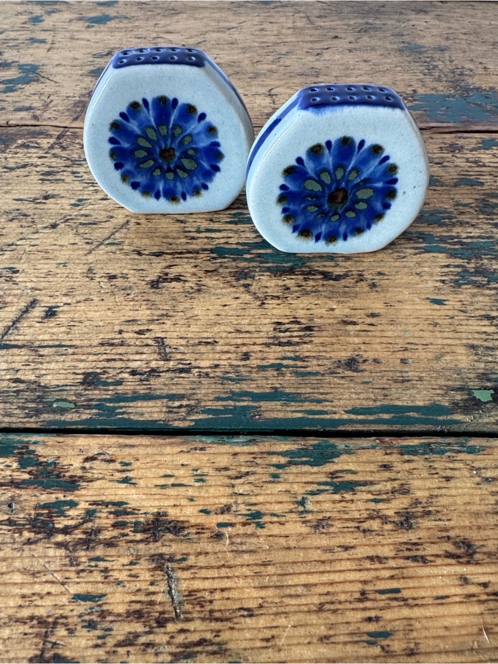 Blue Floral Ceramic Salt & Pepper Shaker Set
